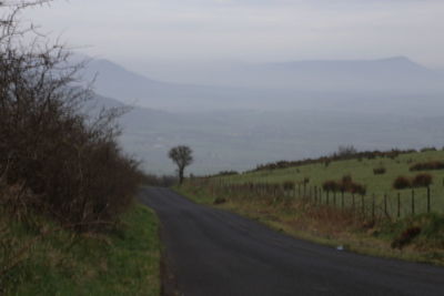 Road amidst trees against sky