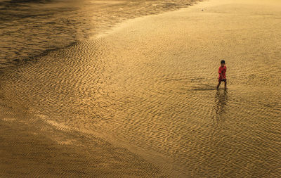 Full length of boy wading in sea
