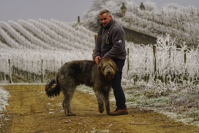 Full length of a horse in winter