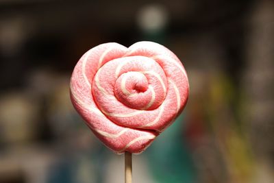 Close-up of pink heart shape lollipop