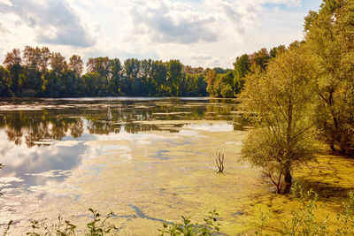 Near xanten is the bislicher insel one of the few remaining alluvial landscapes in germany.