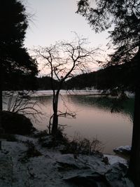 Silhouette trees by lake against sky during winter