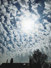 Low angle view of silhouette trees against sky on sunny day