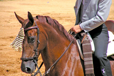 Close-up of man riding horse