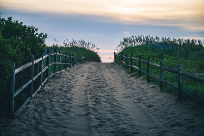 Sand footpath to the beach amidst trees against sky during sunrise