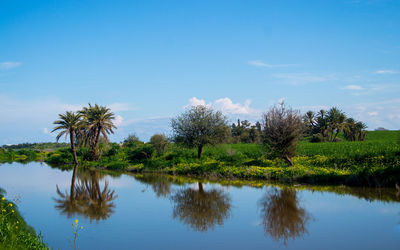 Reflection of trees in lake against blue sky