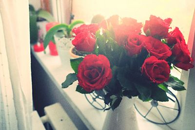 Close-up of red roses