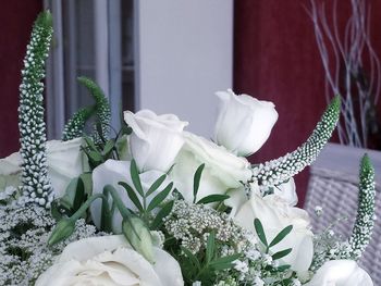 Close-up of flowers