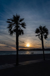 Silhouette palm trees on beach against sky during sunset