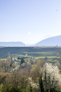 Scenic view of landscape against clear sky