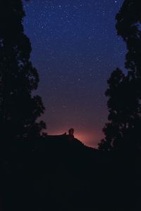 Low angle view of silhouette trees and roque nublo against sky at night