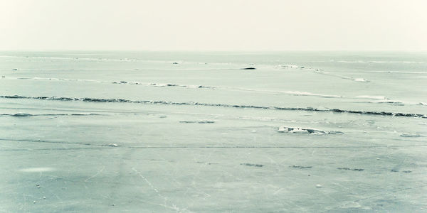 Birds on beach against sky