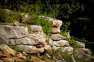 Stones on stone wall