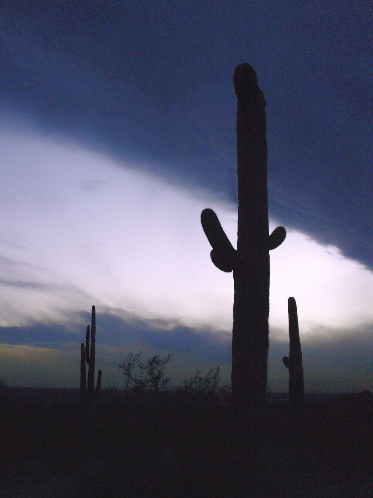 Gold Canyon, Arizona