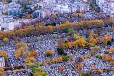 High angle view of autumn trees in town