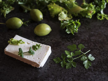 High angle view of feta cheese with olives and green herbs on marble counter