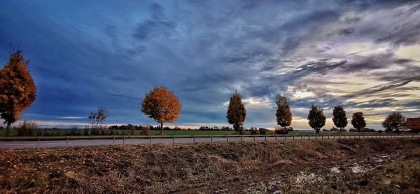 Panoramic shot of trees on field against sky