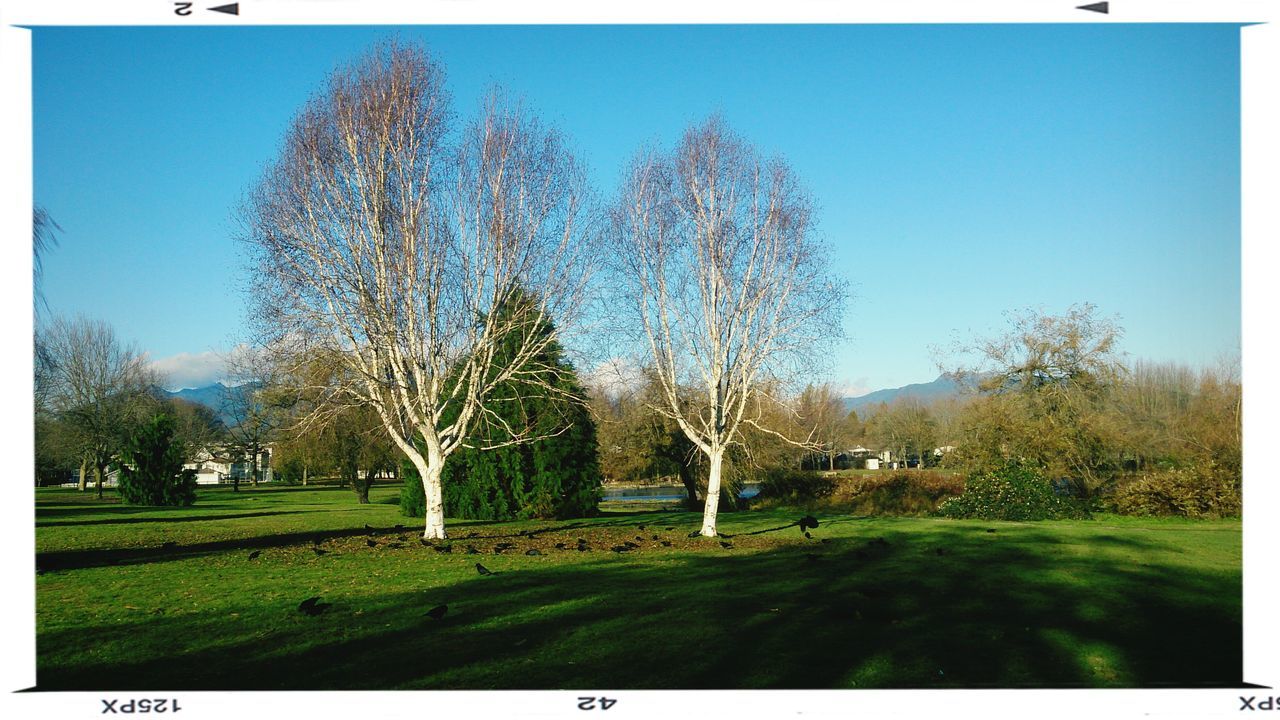 Trout Lake Arena