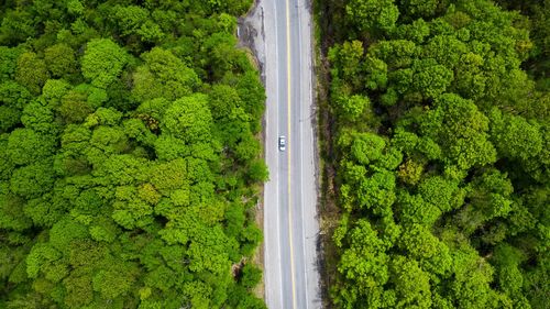 High angle view of road amidst trees in forest