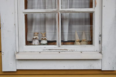 Cat looking through window