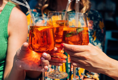 Friends toasting drinks on sunny day