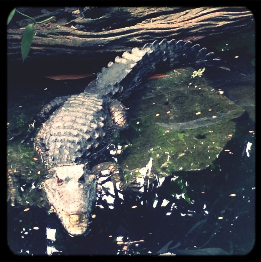 Zoo Krefeld