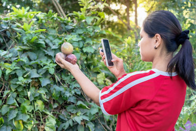 Woman taking pictures of holding fresh passion fruit on palm against nature background 