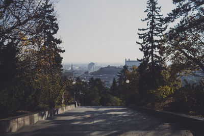 Road amidst trees in forest against clear sky