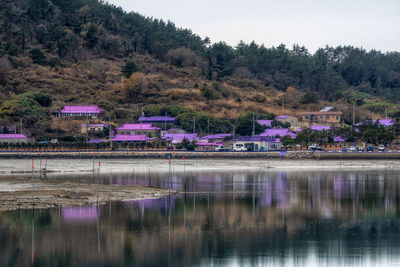 Reflection of buildings in lake