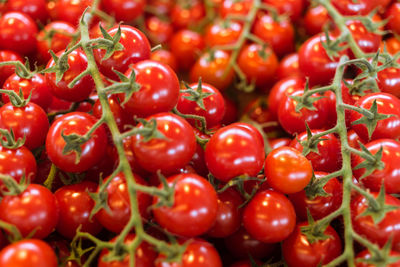 Full frame shot of cherry tomatoes for sale