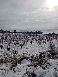 Scenic view of field against sky during winter