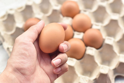 Close-up of hand holding eggs