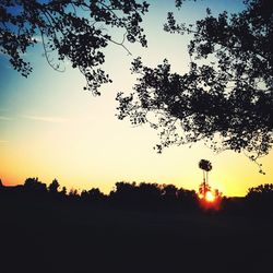 Silhouette of trees at sunset