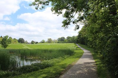 Road amidst trees on field against sky