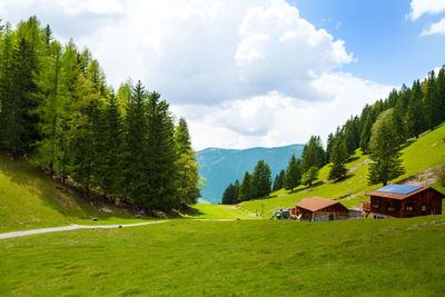 Panoramic shot of trees on field against sky