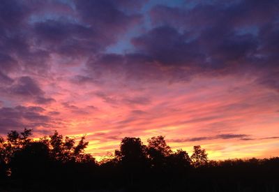 Silhouette trees against dramatic sky during sunset