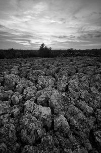 Scenic view of rocks on field against sky