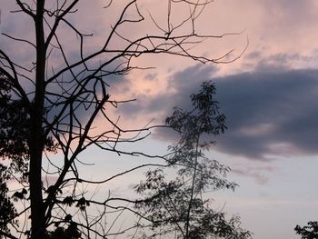 Silhouette of bare tree against cloudy sky