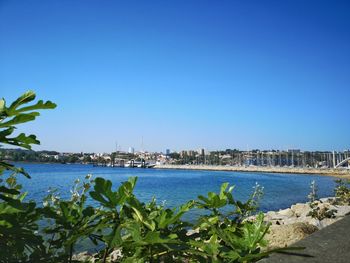 Scenic view of sea and buildings against clear blue sky