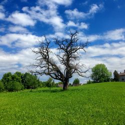 Scenic view of grassy field against cloudy sky