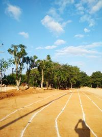 Shadow of trees on sand against sky