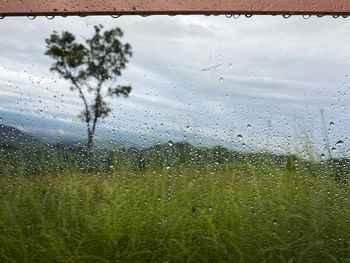 Water drops on glass window