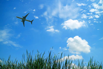 Low angle view of airplane flying against sky