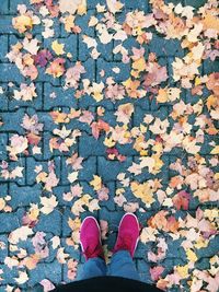 Low section of person standing on footpath covered with autumn leaves