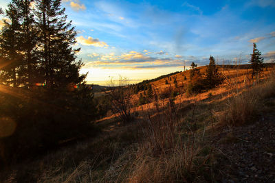 Scenic view of field against sky during sunset