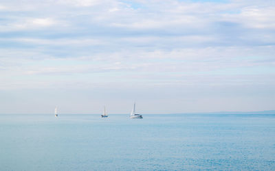 Sailboat in sea against sky