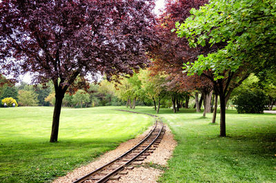 Railroad track amidst trees on grassy field in park