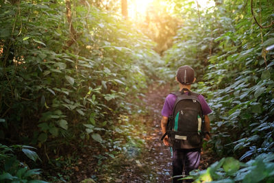 Rear view of boy walking in forest