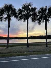 Scenic view of palm trees against sky during sunset