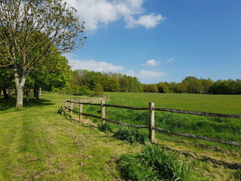 Trees on field against sky